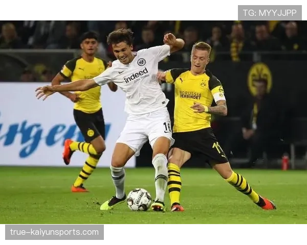 勒沃库森德国杯遭遇多特蒙德 药厂寻求复仇重振士气